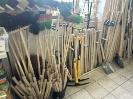img_8969.jpeg